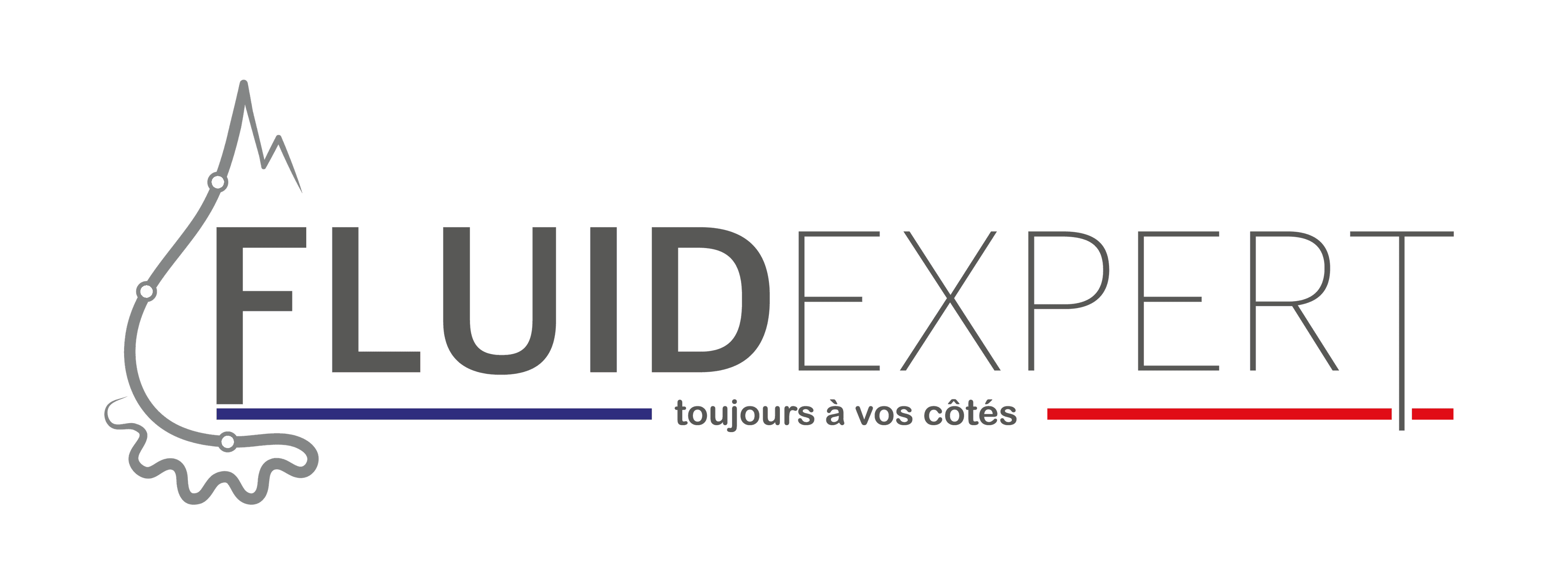 FLUIDEXPERT